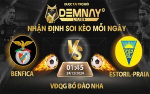 Link xem trực tiếp trận Benfica vs Estoril-Praia, lúc 01h45 ngày 24/12/2024, VĐQG Bồ Đào Nha