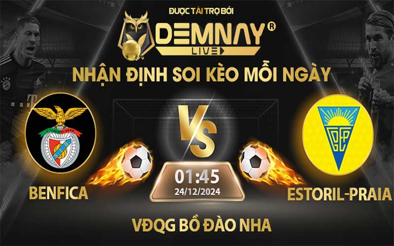 Link xem trực tiếp trận Benfica vs Estoril-Praia, lúc 01h45 ngày 24/12/2024, VĐQG Bồ Đào Nha